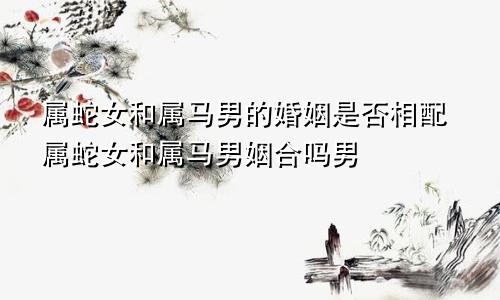 属蛇女和属马男的婚姻是否相配属蛇女和属马男姻合吗男