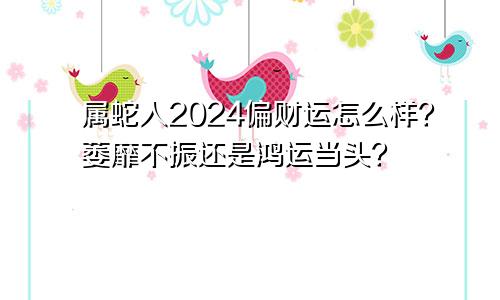 属蛇人2024偏财运怎么样？萎靡不振还是鸿运当头？