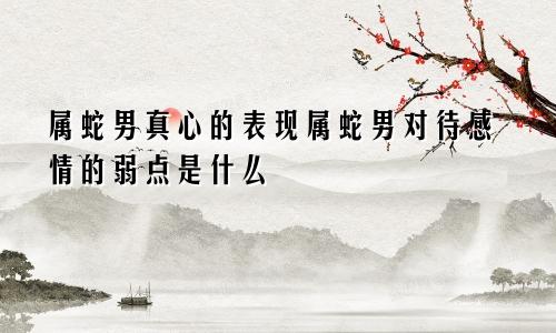 属蛇男真心的表现属蛇男对待感情的弱点是什么