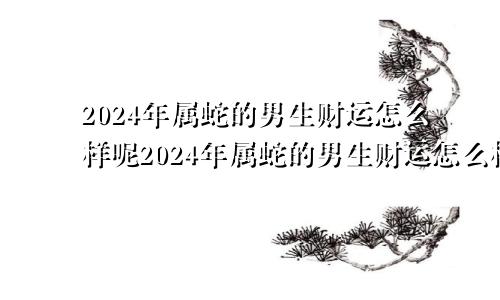 2024年属蛇的男生财运怎么样呢2024年属蛇的男生财运怎么样呀