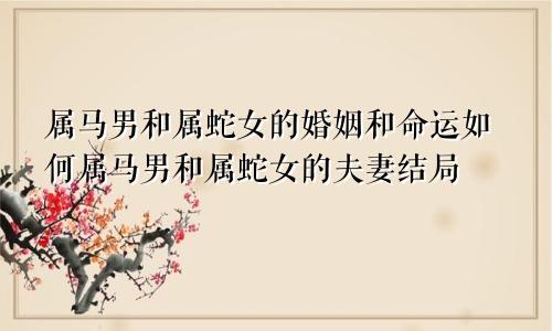 属马男和属蛇女的婚姻和命运如何属马男和属蛇女的夫妻结局