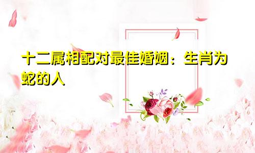 十二属相配对最佳婚姻：生肖为蛇的人