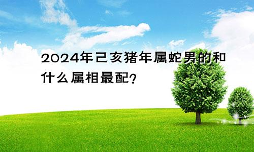 2024年己亥猪年属蛇男的和什么属相最配？