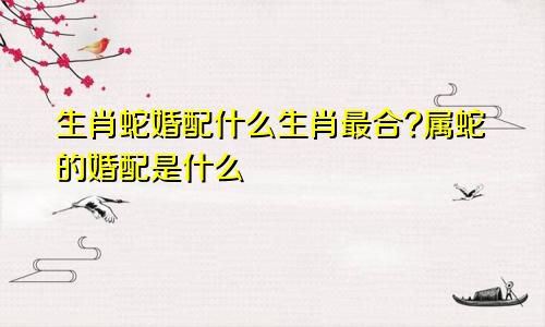 生肖蛇婚配什么生肖最合?属蛇的婚配是什么