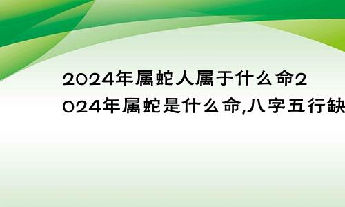 2024年属蛇人属于什么命2024年属蛇是什么命,八字五行缺啥