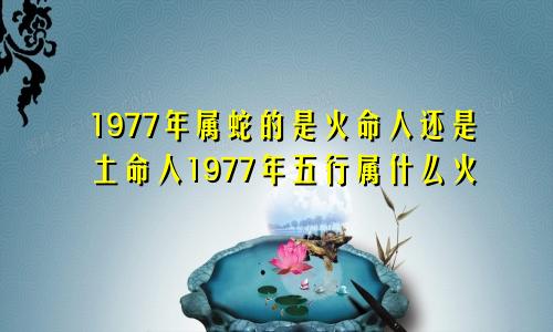 1977年属蛇的是火命人还是土命人1977年五行属什么火