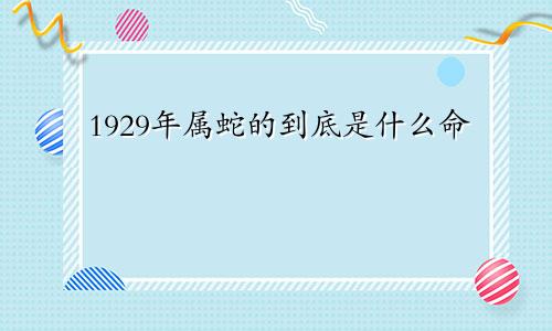 1929年属蛇的到底是什么命