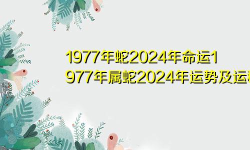 1977年蛇2024年命运1977年属蛇2024年运势及运程