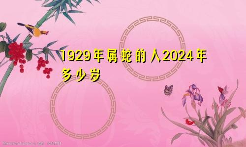 1929年属蛇的人2024年多少岁