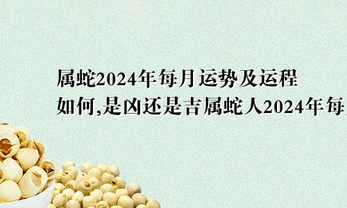 属蛇2024年每月运势及运程如何,是凶还是吉属蛇人2024年每月运势运程每月