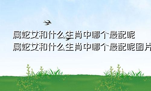 属蛇女和什么生肖中哪个最配呢属蛇女和什么生肖中哪个最配呢图片