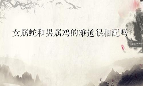 女属蛇和男属鸡的难道很相配吗