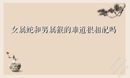 女属蛇和男属猴的难道很相配吗