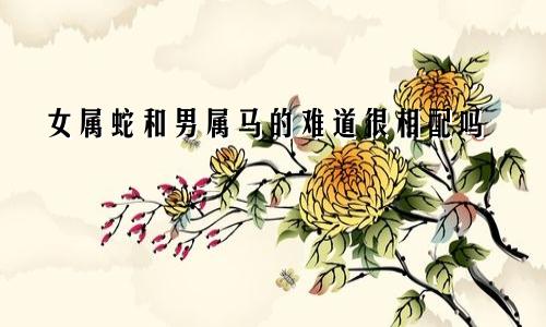 女属蛇和男属马的难道很相配吗