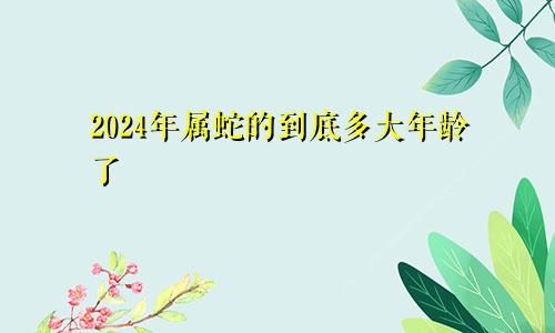 2024年属蛇的到底多大年龄了