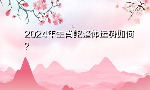 2024年生肖蛇整体运势如何？