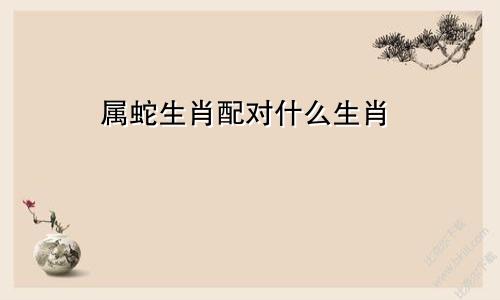 属蛇生肖配对什么生肖