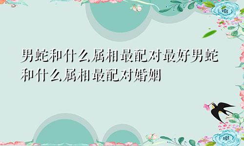 男蛇和什么属相最配对最好男蛇和什么属相最配对婚姻