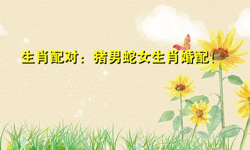 生肖配对：猪男蛇女生肖婚配！