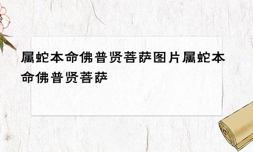 属蛇本命佛普贤菩萨图片属蛇本命佛普贤菩萨