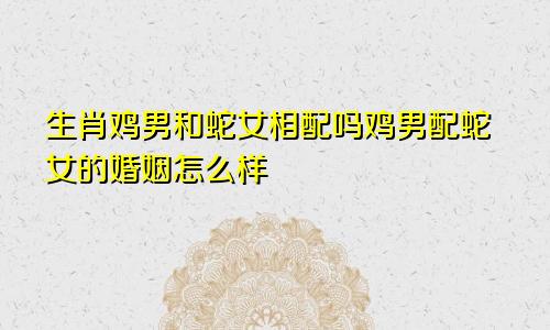 生肖鸡男和蛇女相配吗鸡男配蛇女的婚姻怎么样