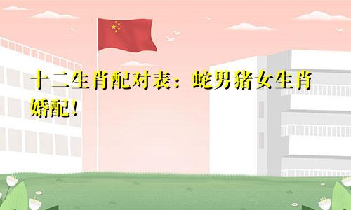 十二生肖配对表：蛇男猪女生肖婚配！