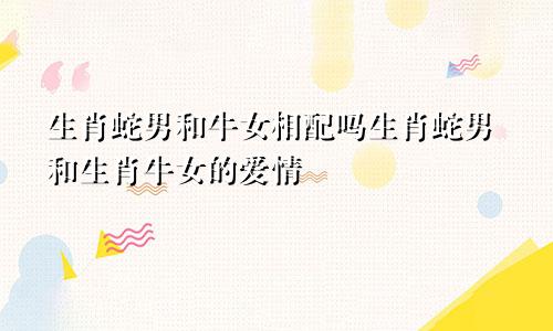 生肖蛇男和牛女相配吗生肖蛇男和生肖牛女的爱情