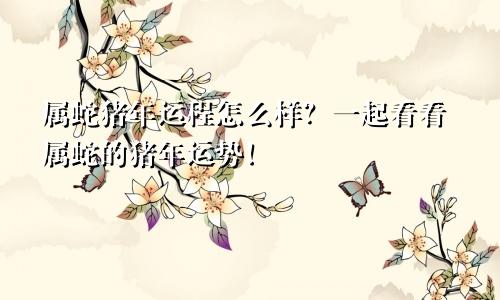 属蛇猪年运程怎么样？一起看看属蛇的猪年运势！