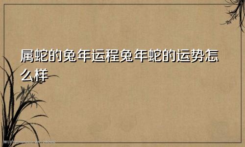 属蛇的兔年运程兔年蛇的运势怎么样