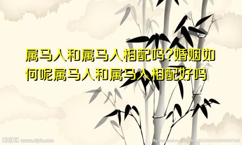 属马人和属马人相配吗?婚姻如何呢属马人和属马人相配好吗