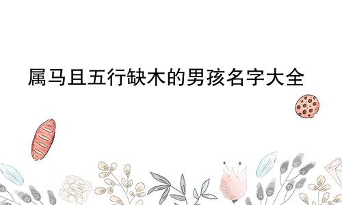 属马且五行缺木的男孩名字大全