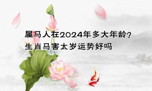 属马人在2024年多大年龄？生肖马害太岁运势好吗