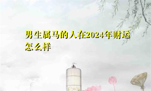 男生属马的人在2024年财运怎么样