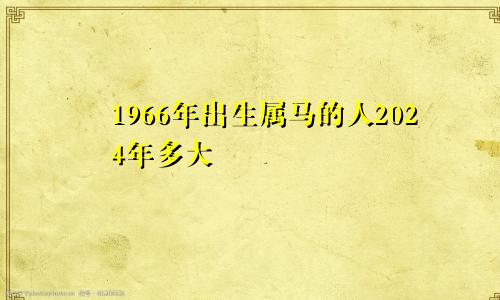1966年出生属马的人2024年多大