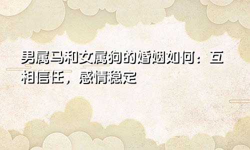 男属马和女属狗的婚姻如何：互相信任，感情稳定