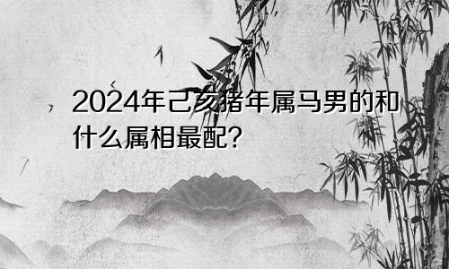 2024年己亥猪年属马男的和什么属相最配？