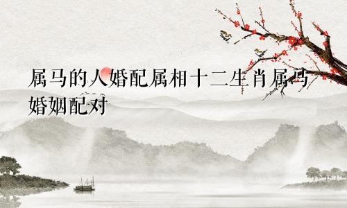 属马的人婚配属相十二生肖属马婚姻配对