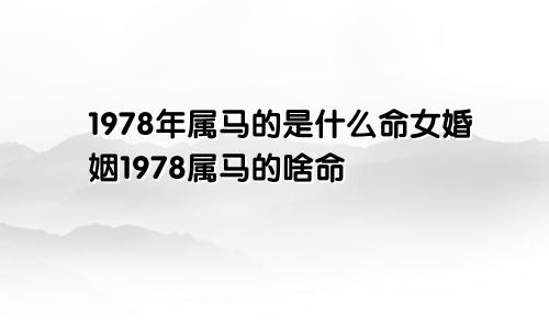 1978年属马的是什么命女婚姻1978属马的啥命