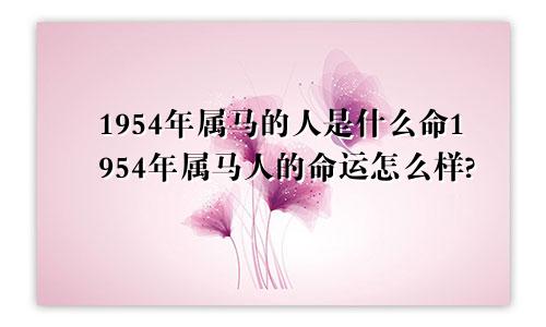 1954年属马的人是什么命1954年属马人的命运怎么样?