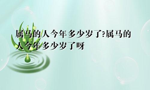 属马的人今年多少岁了?属马的人今年多少岁了呀