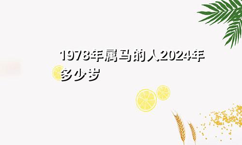 1978年属马的人2024年多少岁
