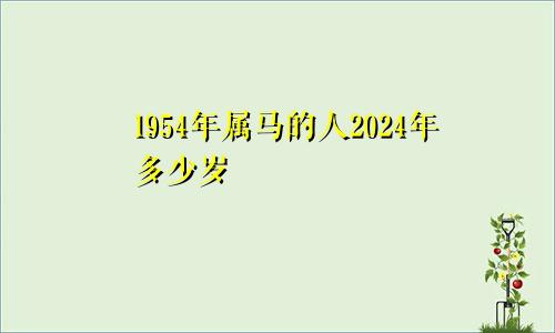 1954年属马的人2024年多少岁