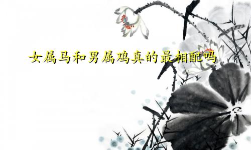 女属马和男属鸡真的最相配吗