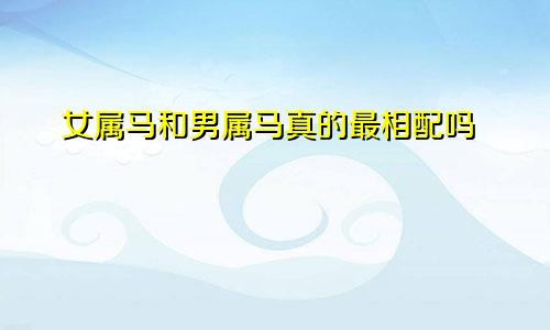 女属马和男属马真的最相配吗