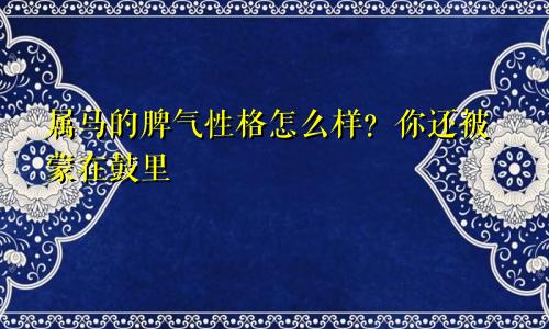属马的脾气性格怎么样？你还被蒙在鼓里