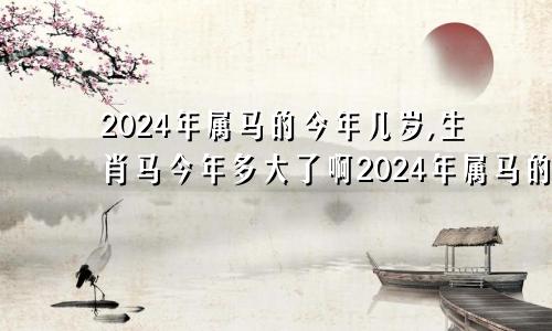 2024年属马的今年几岁,生肖马今年多大了啊2024年属马的今年是多少岁?