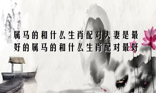 属马的和什么生肖配对夫妻是最好的属马的和什么生肖配对最好