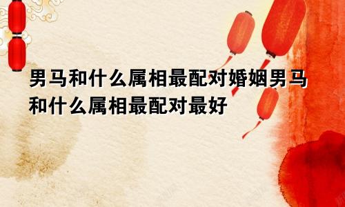 男马和什么属相最配对婚姻男马和什么属相最配对最好