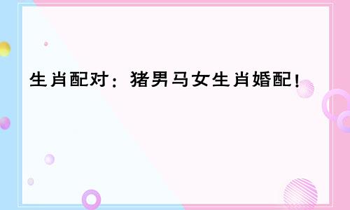 生肖配对：猪男马女生肖婚配！