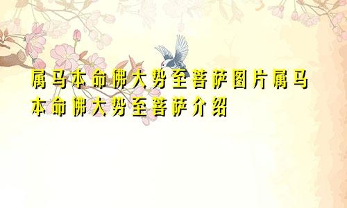 属马本命佛大势至菩萨图片属马本命佛大势至菩萨介绍